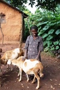 Ethiopia - Ebese and her sheep